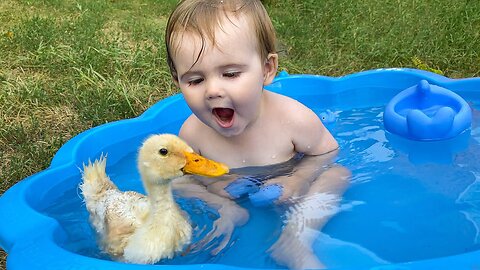 Funny Baby Reaction to Duckling in the Pool