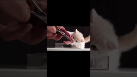 funny moments 🤣🤣