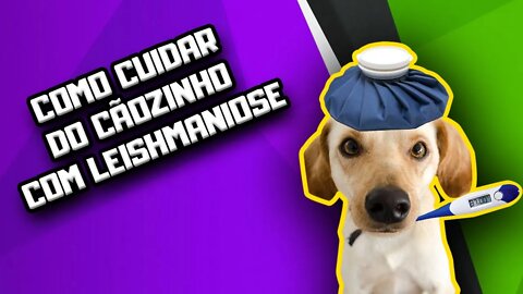 Tratamento Natural para Cachorro com Leishmaniose | Dr. Edgard Gomes | Alimentação natural para Cães