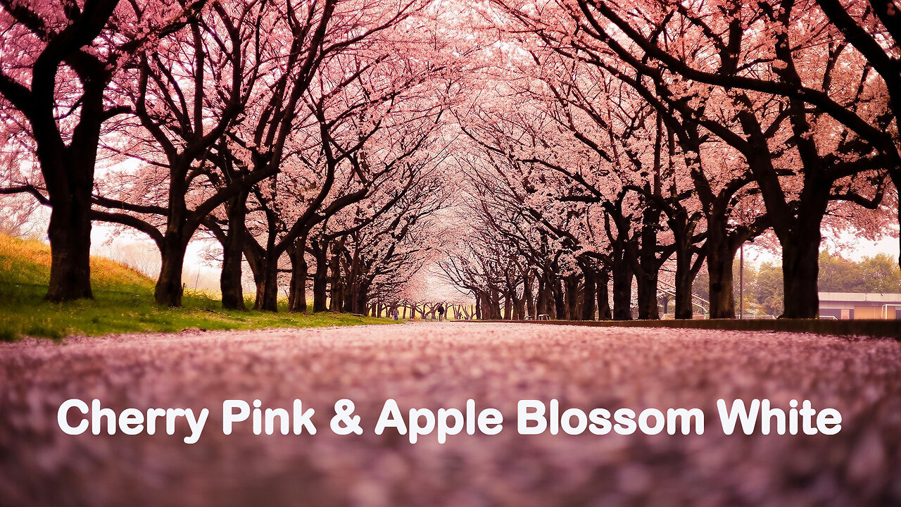 Cherry Pink & Apple Blossom White