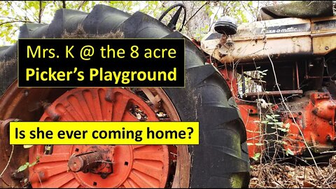 8 Acre Rural Southern Illinois Picker's Paradise VLOG #1