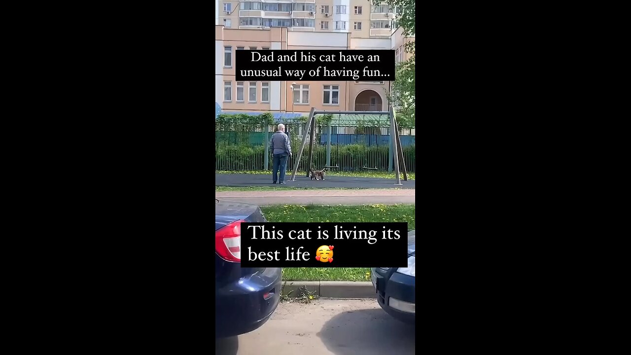 Just a cat at the park with his Dad #Cats