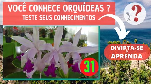 VOCÊ CONHECE ORQUIDEAS ? QUAL O NOME DESSA ORQUIDEA? DIVIRTA-SE IDENTIFICANDO ESSA ORQUÍDEA