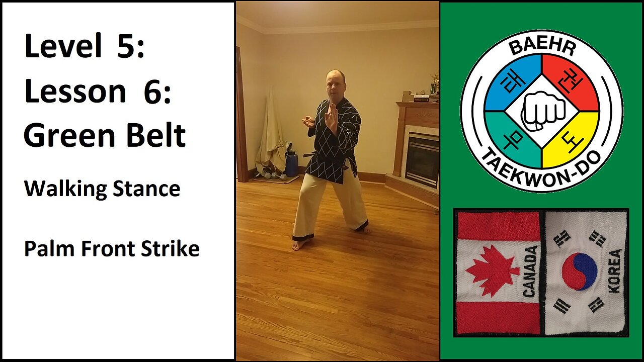 Baehr Taekwondo: 05-06: Green Belt: Walking Stance - Palm Front Strike