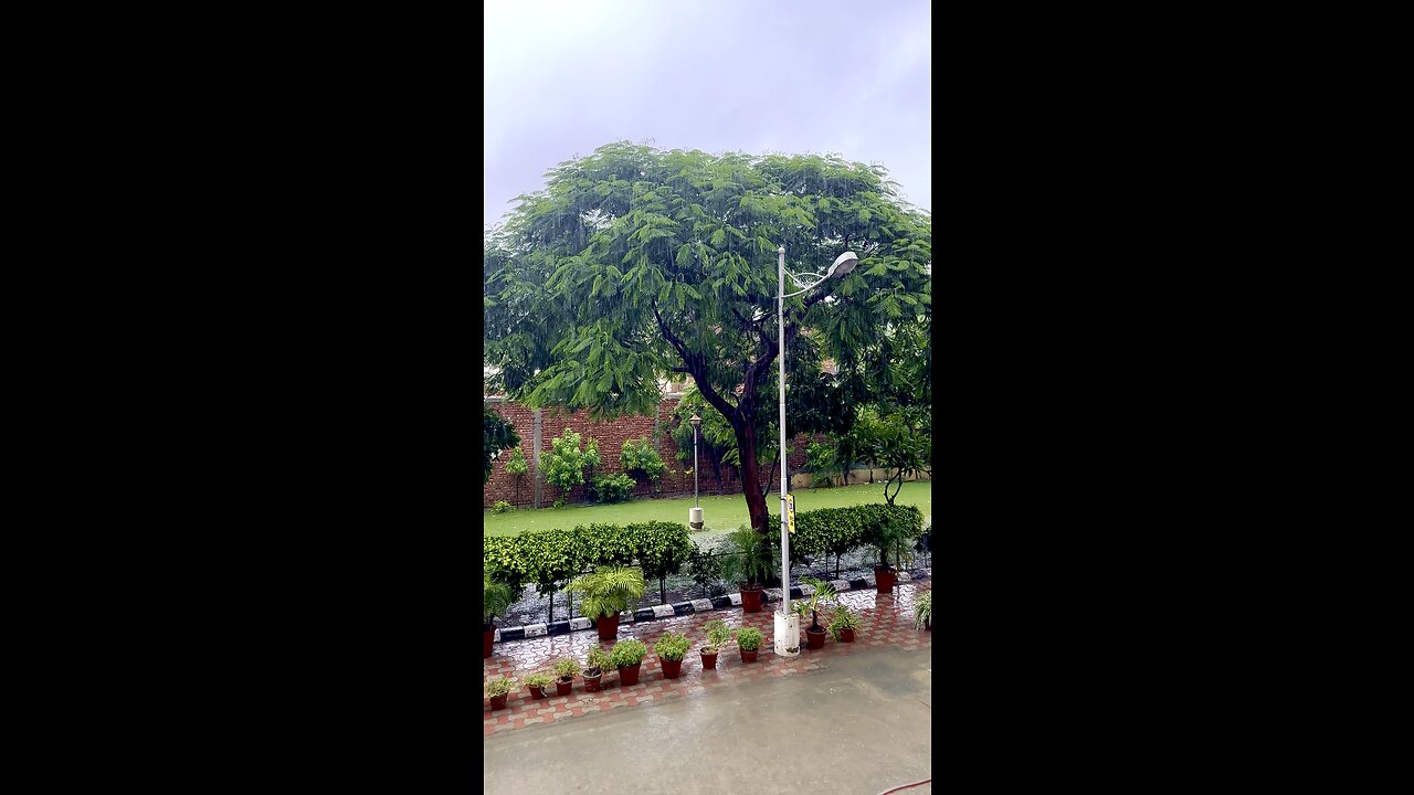 Rain