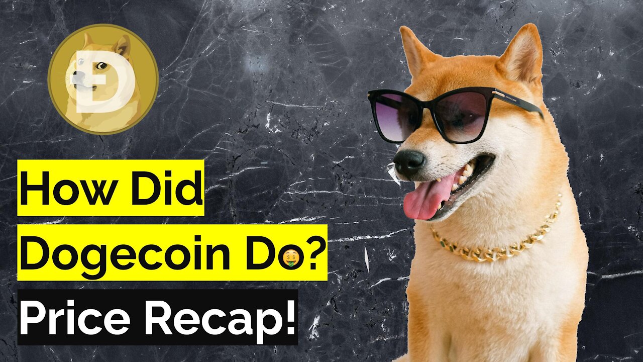 DOGE Update | What’s Dogecoin’s Value & How Did Dogecoin’s Price Develop? (2021)