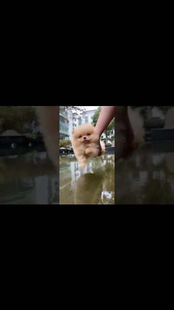 Operation Looking Glass begins begins now , # short