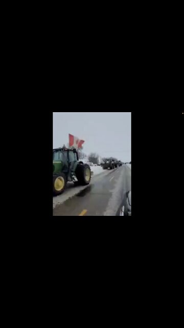 Canadian Farmer Convoy Joining Truckers In The Northern Border