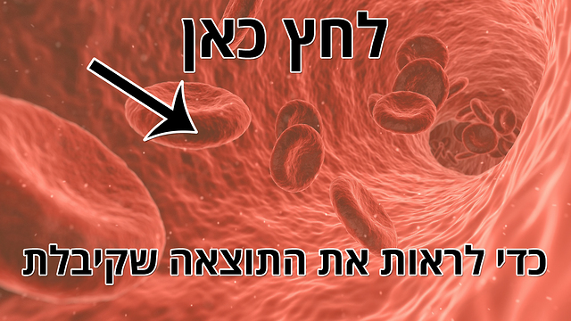 מה תגלה בבדית הדם הבאה שלך? מדדים תקינים