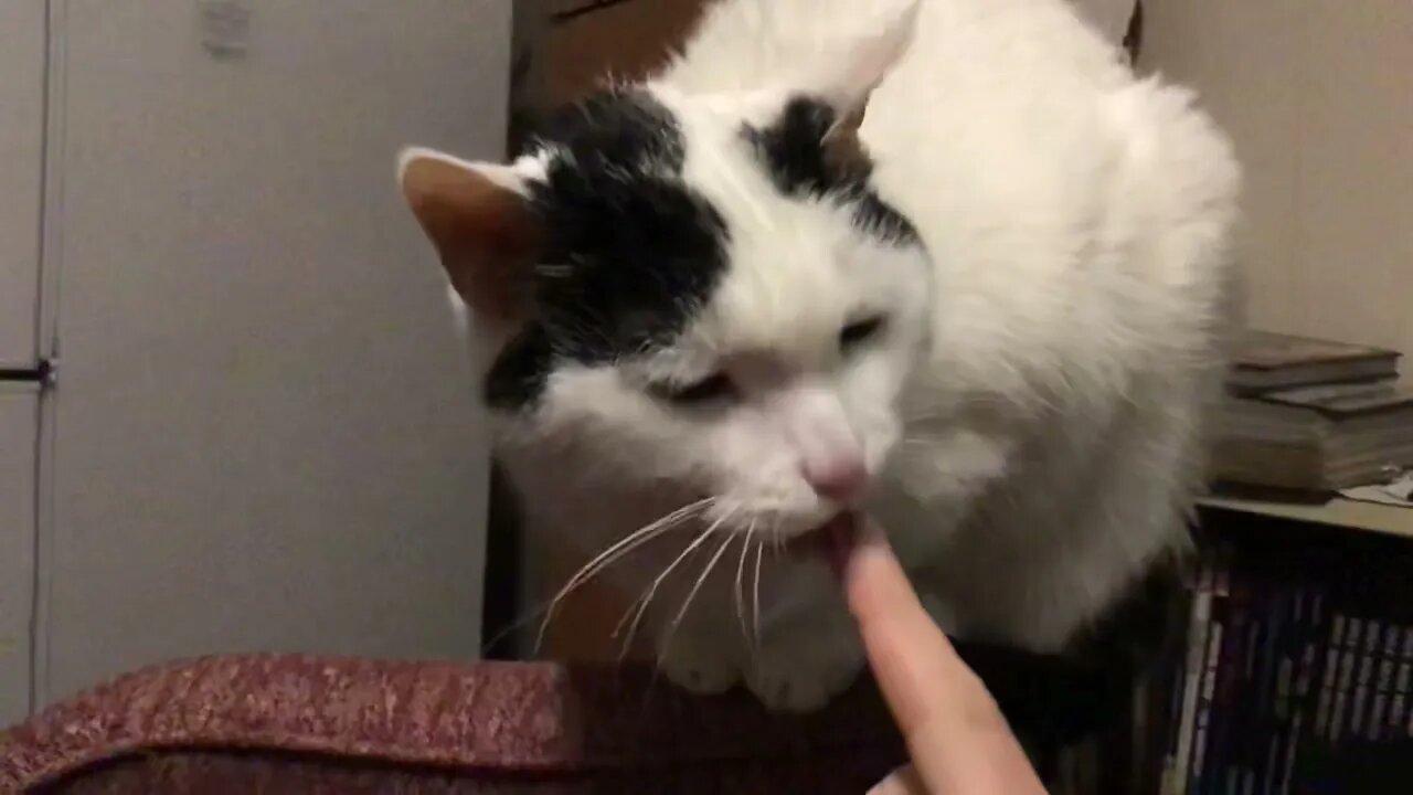 Tasty Finger😳