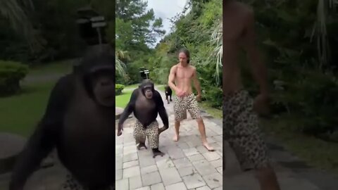 Melhores amigos #shorts