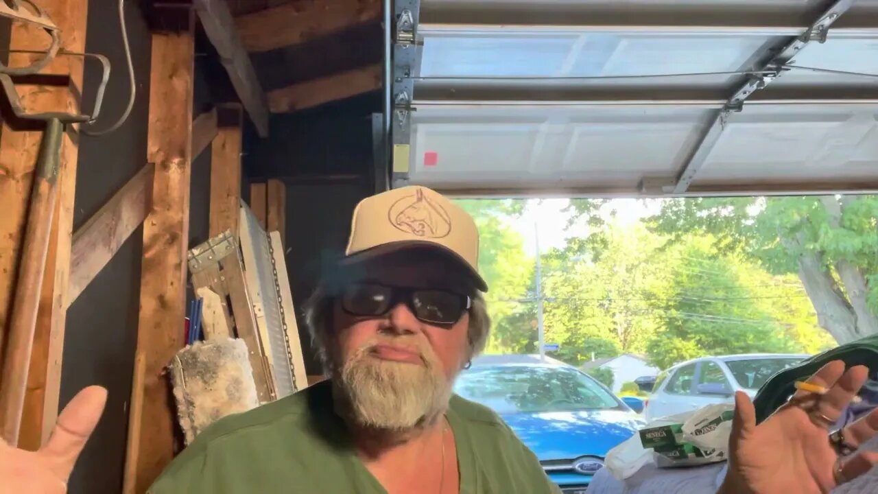 Good day in Flamingoville🦩🦩