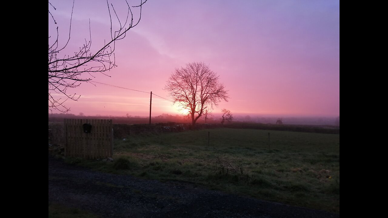 One year living off-grid in Ireland