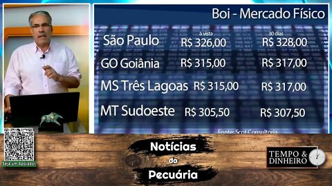 Boi gordo firme sobe em 25 praças. EUA não querem monopólio da indústria.