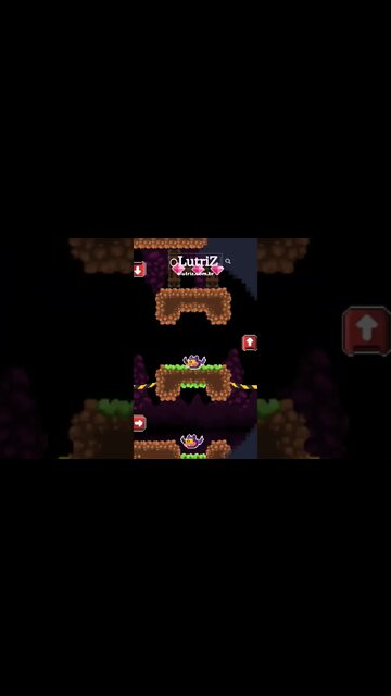 Talvez, você não sabia: sobre o termo WWW