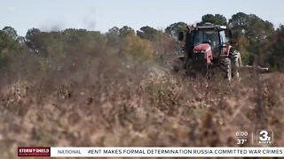 Iowa farmers fear fertilizer shortage: ''It's simply not available'