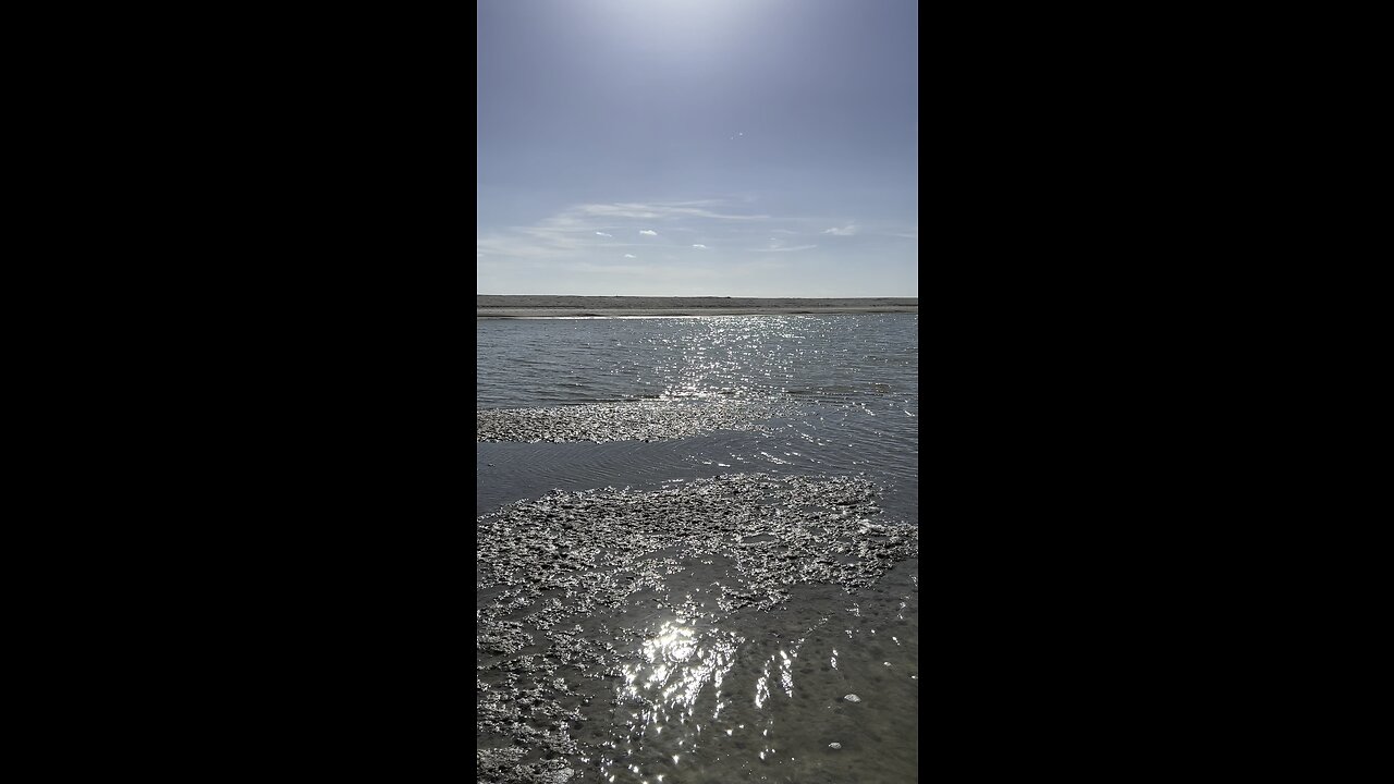 Lagoon Shellventure! #4K