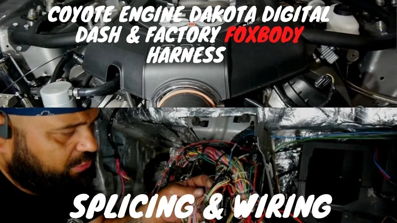 Coyote swapped Foxbody!! Ford performance harness, Dakota Digital Dash Wire Harness to Fox Harness