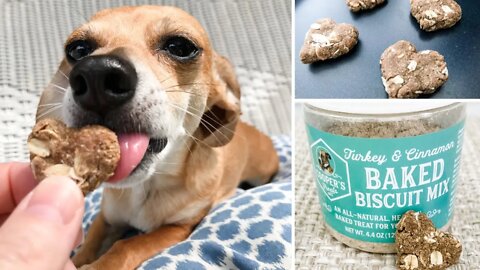 Dog Treat Review - Cooper's Treats Baked Biscuit Mixes