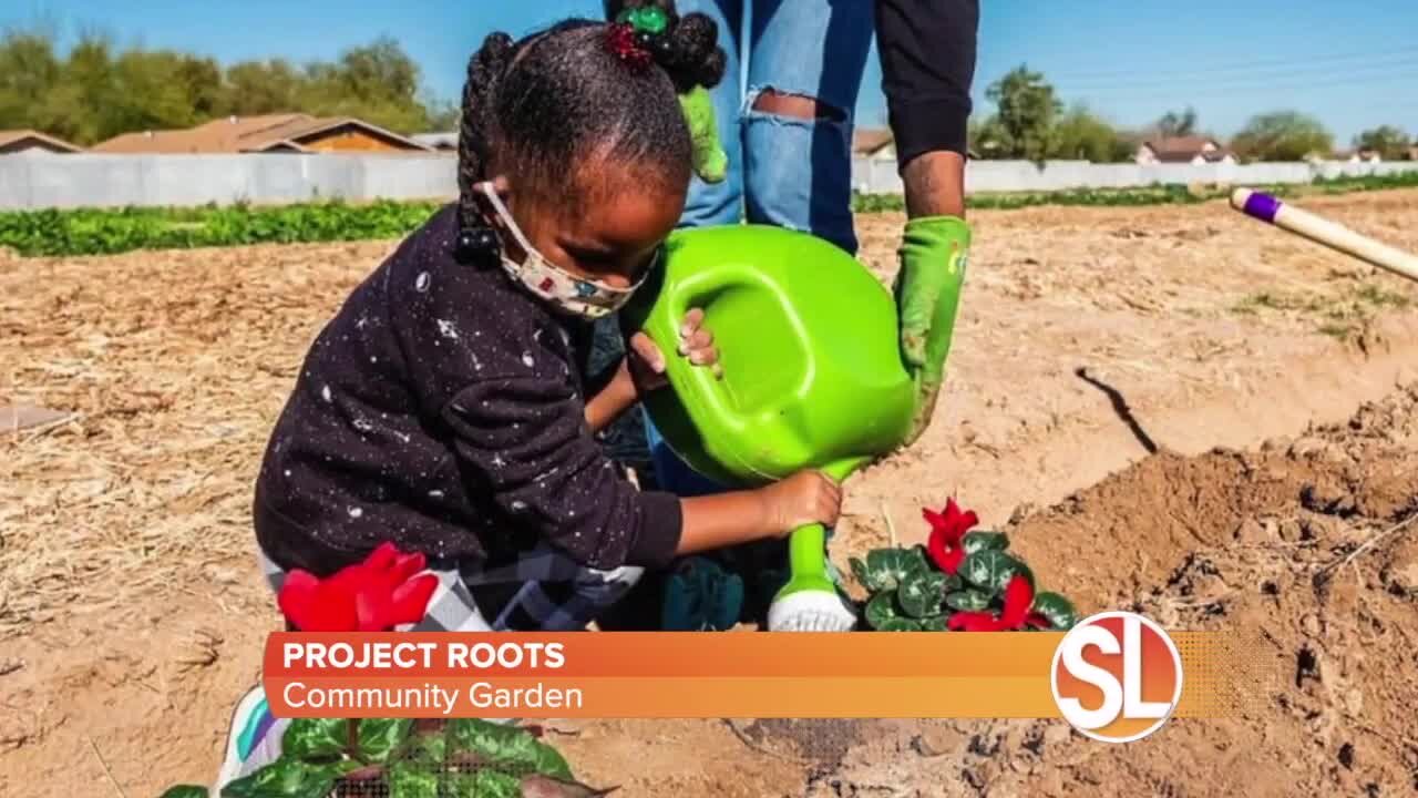 See how a community garden grows food to help with food insecurities