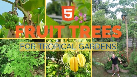 My Top 5 Fruit Trees to Grow in a Tropical Garden #fruittrees