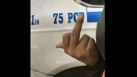 NYPD BRUTALITY IN NEWHAZECITY