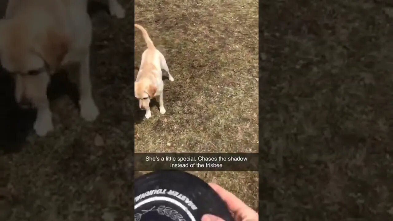 She’s trying her best, okay