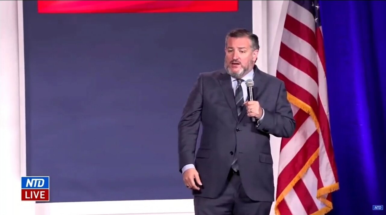Ted Cruz Urges Senate Republicans: Be More AGGRESSIVE
