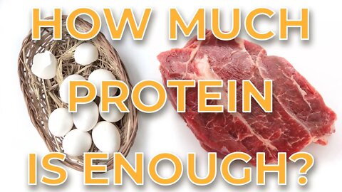 How much Protein You Should Eat