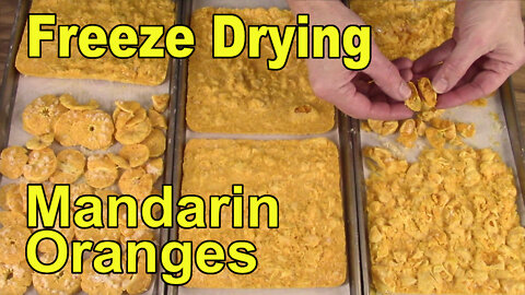 Freeze Drying Mandarin Oranges