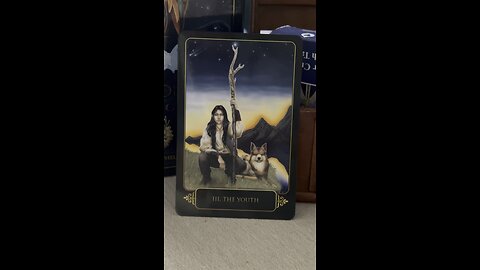 CAPRICORN message of the day #capricorn #tarot #tarotary #DreamsofGaia #RavynnePhelan #dailycard