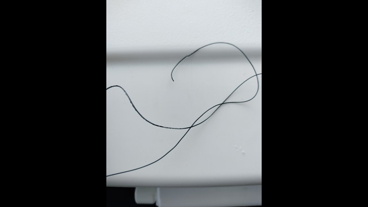 Violent domestic terrorist extremist Richard Alex Hernandez