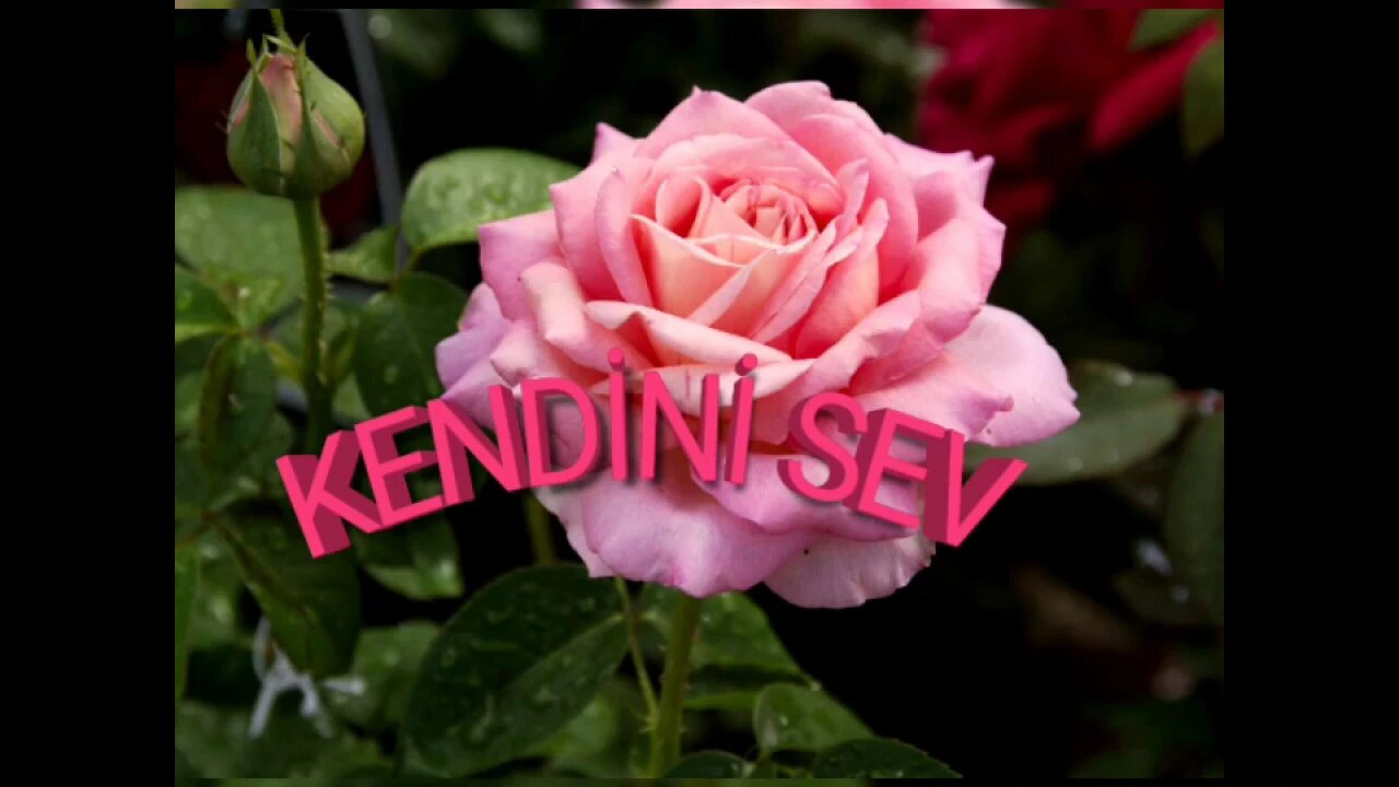 En güzel sözler-16