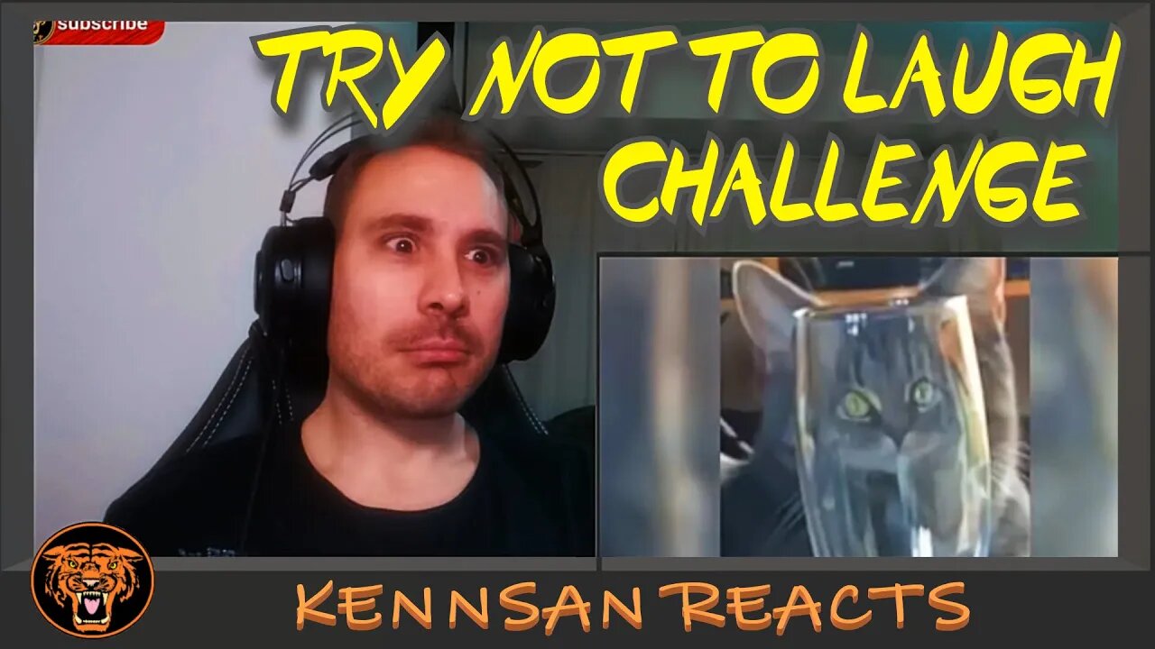 KENNSAN REACTS TO... FUNNIEST DOGS AND CATS! - TRY NOT TO LAUGH