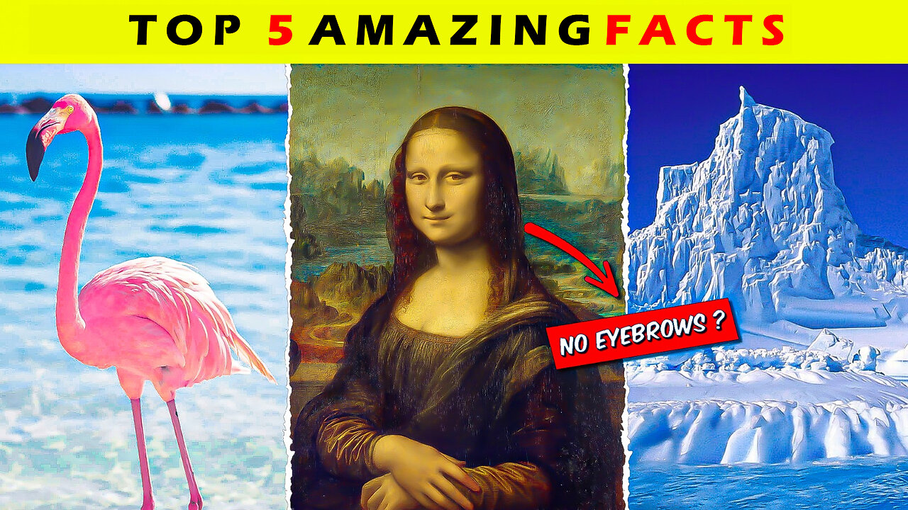 5 Mind-Blowing Facts You Won't Believe