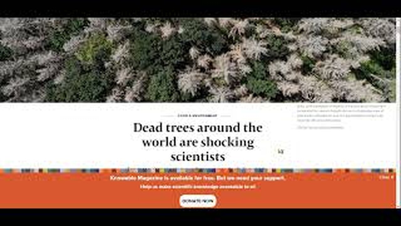 Why We are Losing Hundreds of Millions(Billions?) of Trees across the Planet!