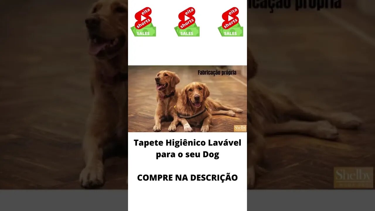 Tapete Higiênico Lavável para o seu Dog #shorts