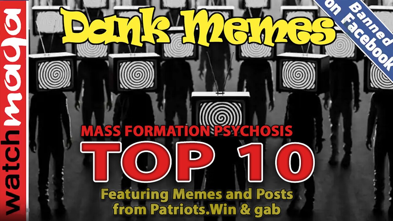 TOP 10 MEMES: Mass Formation Psychosis