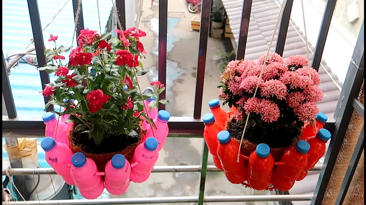 Amazing plastic bottle recycling idea, hanging flower pots