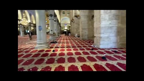 The latest images of the Post-Conflict Masjid Aksa!