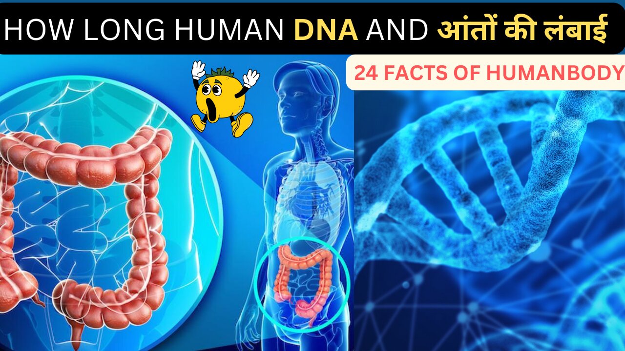 25 intersting facts about human body