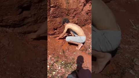 Authentic PEI dirt shirt