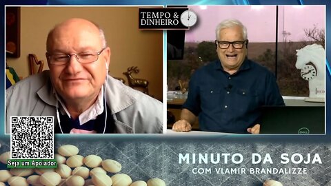 Feijão avança no vazio de colheita
