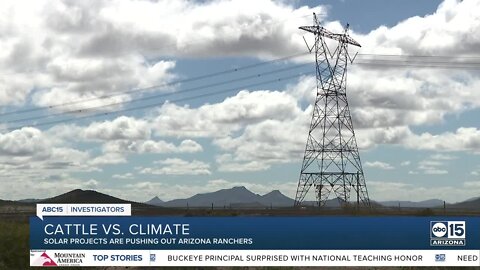 Cattle vs. Climate? How solar farms could push out Arizona ranchers