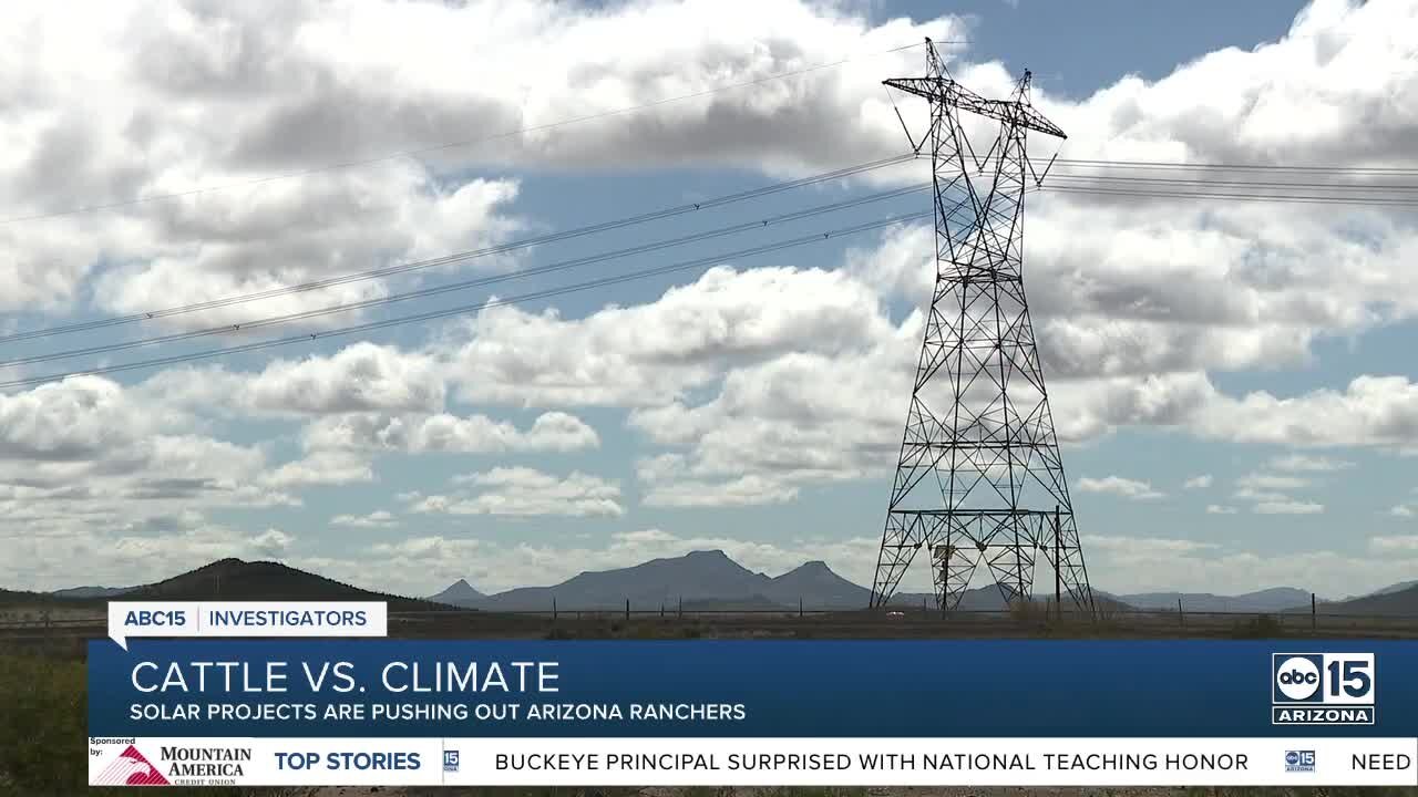 Cattle vs. Climate? How solar farms could push out Arizona ranchers