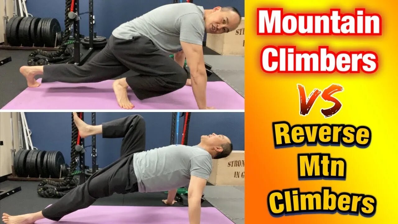 Mountain Climbers VS Reverse MTN Climbers! *Best “CORE” Exercise You’re NOT Doing! | Dr Wil & Dr K