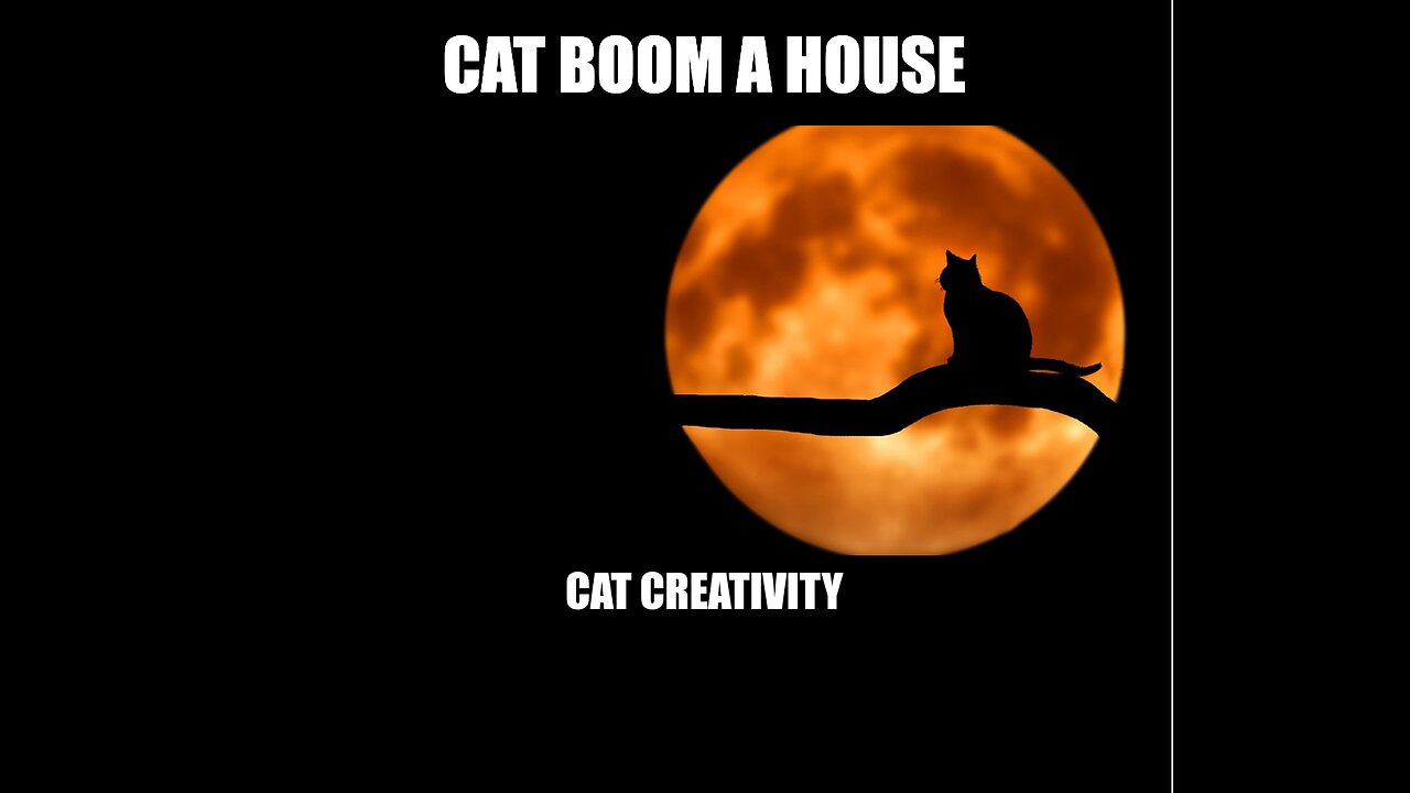 Cat ๐ Blast by a grenade๐ฅ๐คฃ๐๐