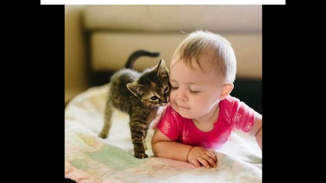 Adorable Friendship Of Baby and Kitten Baby and Cats Playing Together - Funny Baby