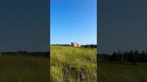 Leaving the beach on a path
