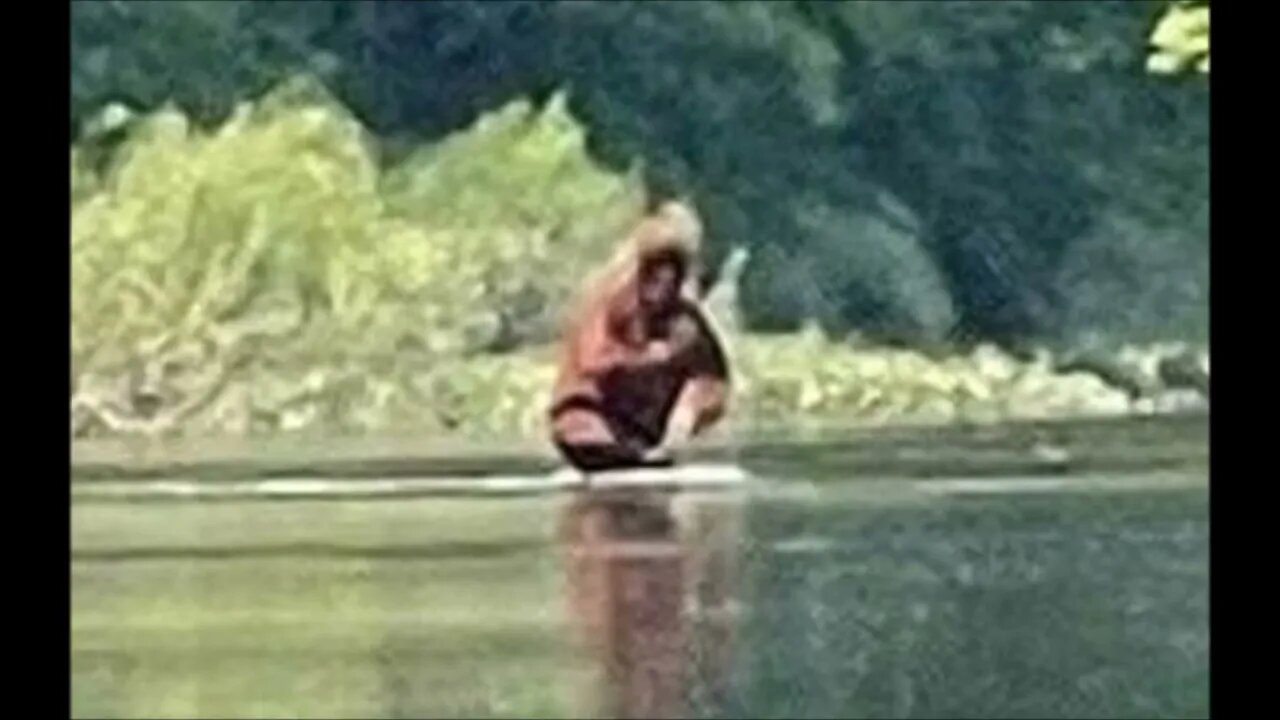 Photo Of Bigfoot Carrying A Cub Across The River In Michigan Paranormal News